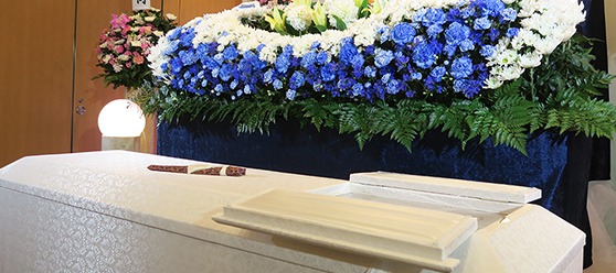 ペガサスプラン