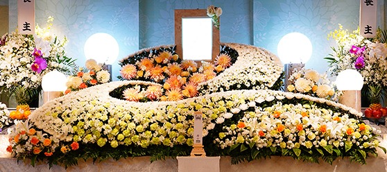 カシオペアプラン